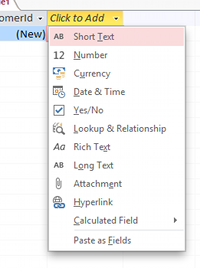 Screenshot of dropdown list of data types