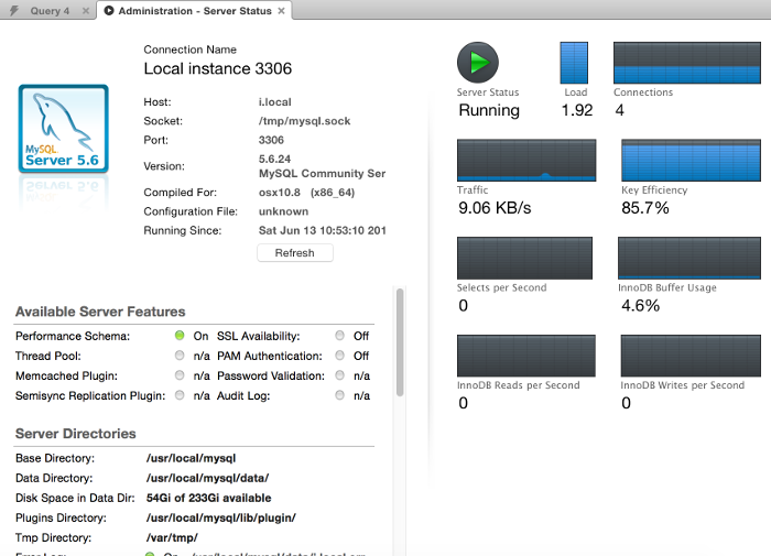 how-to-check-the-server-status-in-mysql-workbench-using-the-gui