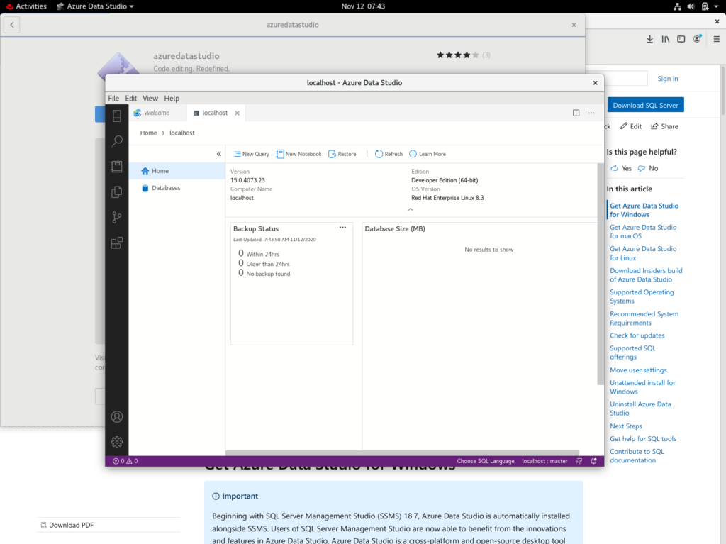Screenshot of Azure Data Studio after connecting to SQL Server