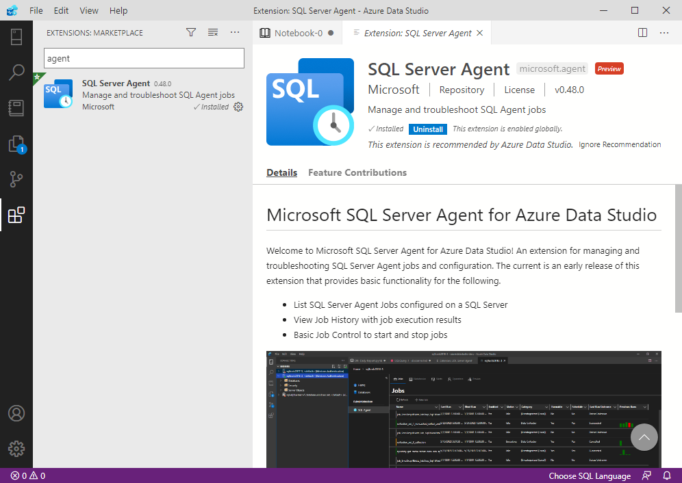 Screenshot of the SQL Server Agent extension page