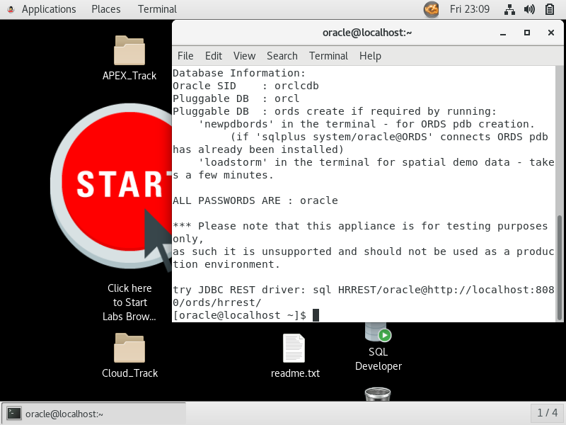 Screenshot of Oracle DB Developer VM running in VirtualBox