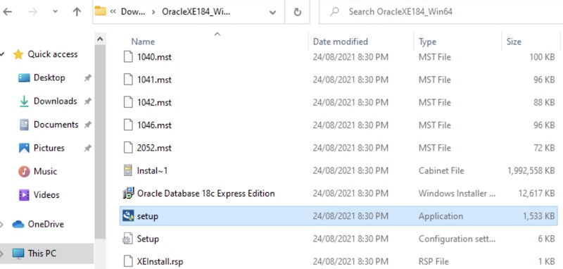 Screenshot of the setup.exe icon highlighted in File Explorer.