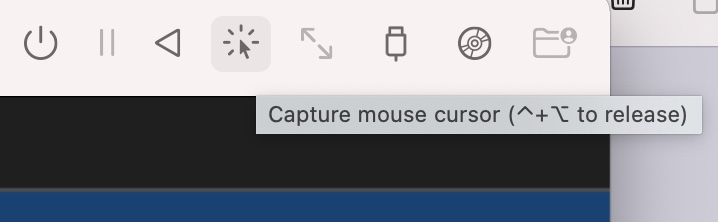 Screenshot of the Capture mouse cursor icon.